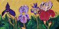 Irises #3