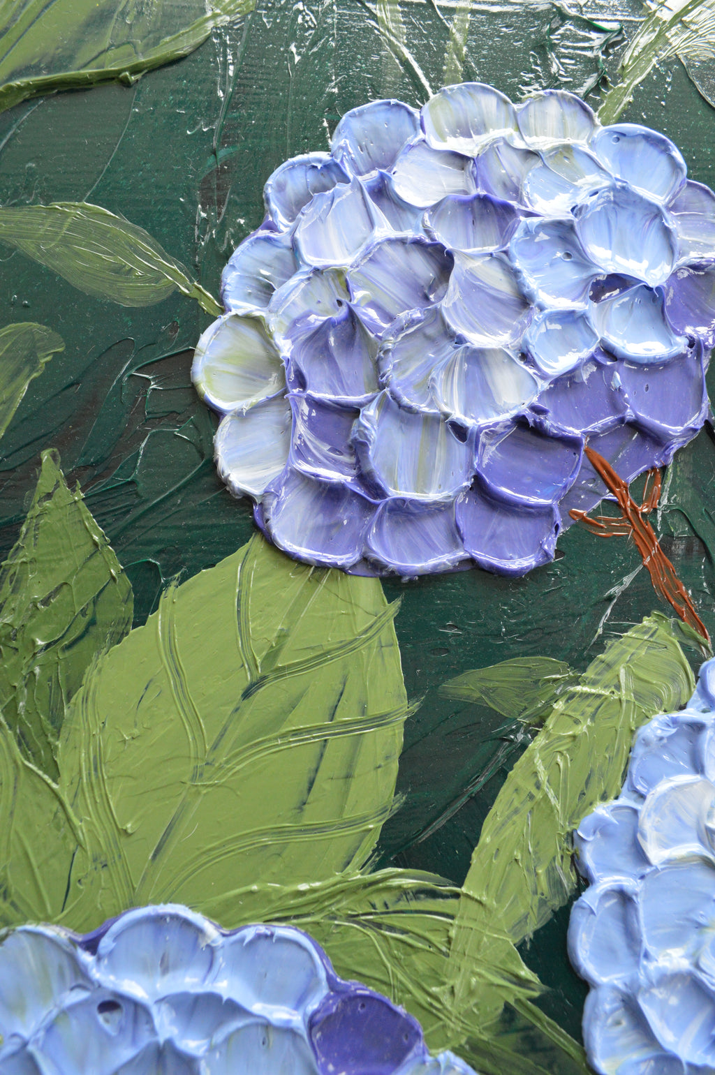 Hydrangea #3