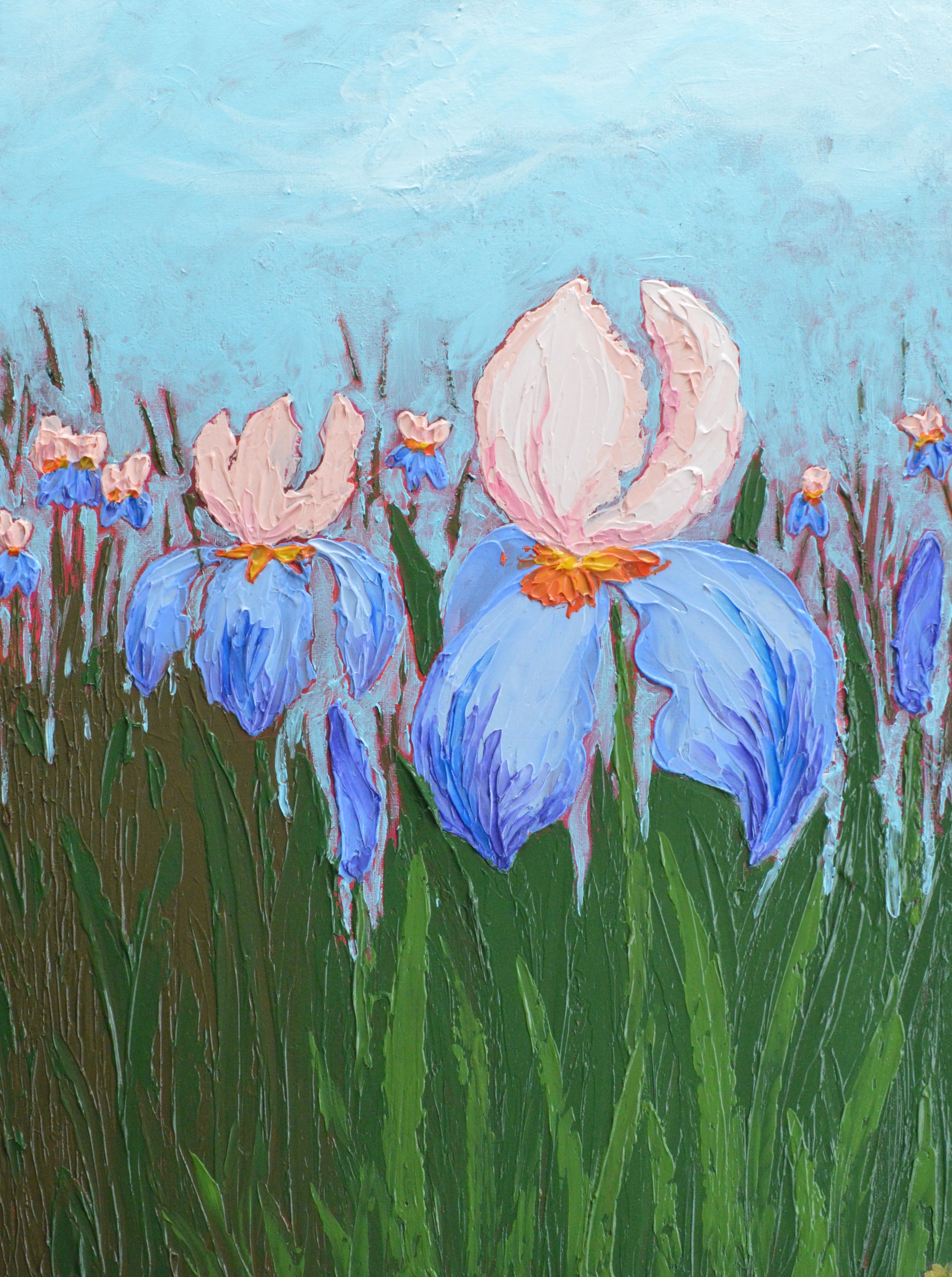 Irises #1