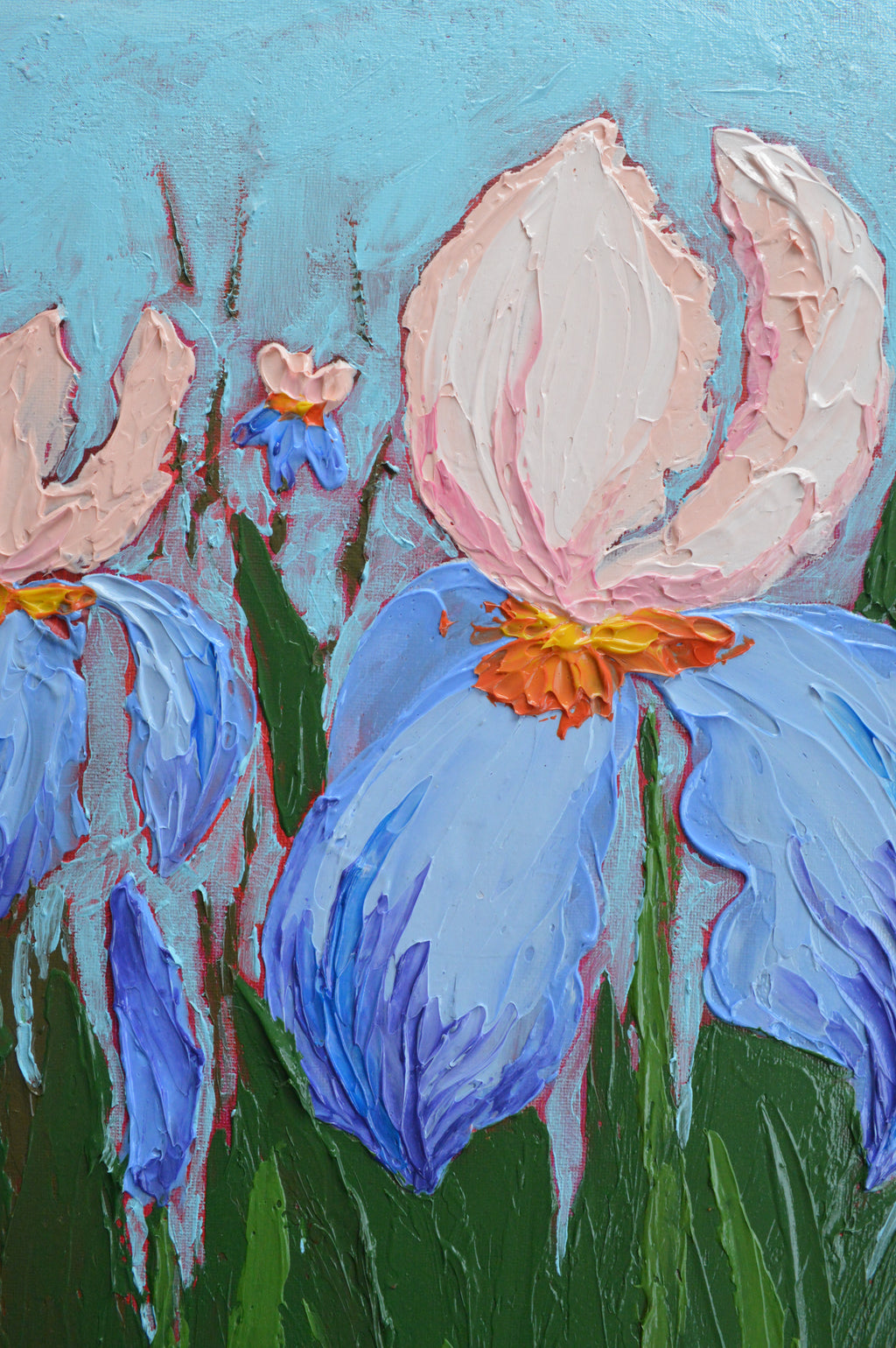 Irises #1