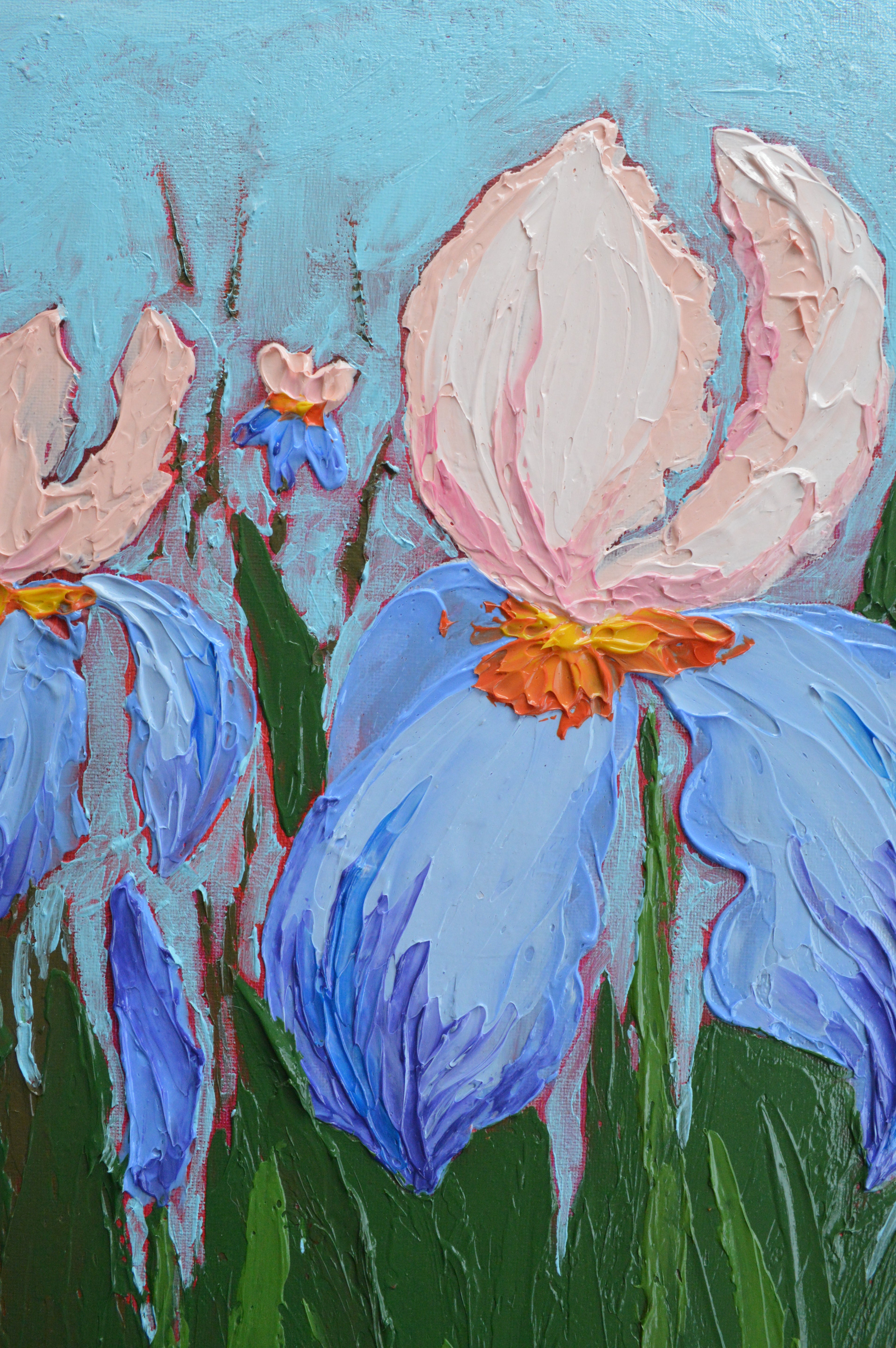 Irises #1