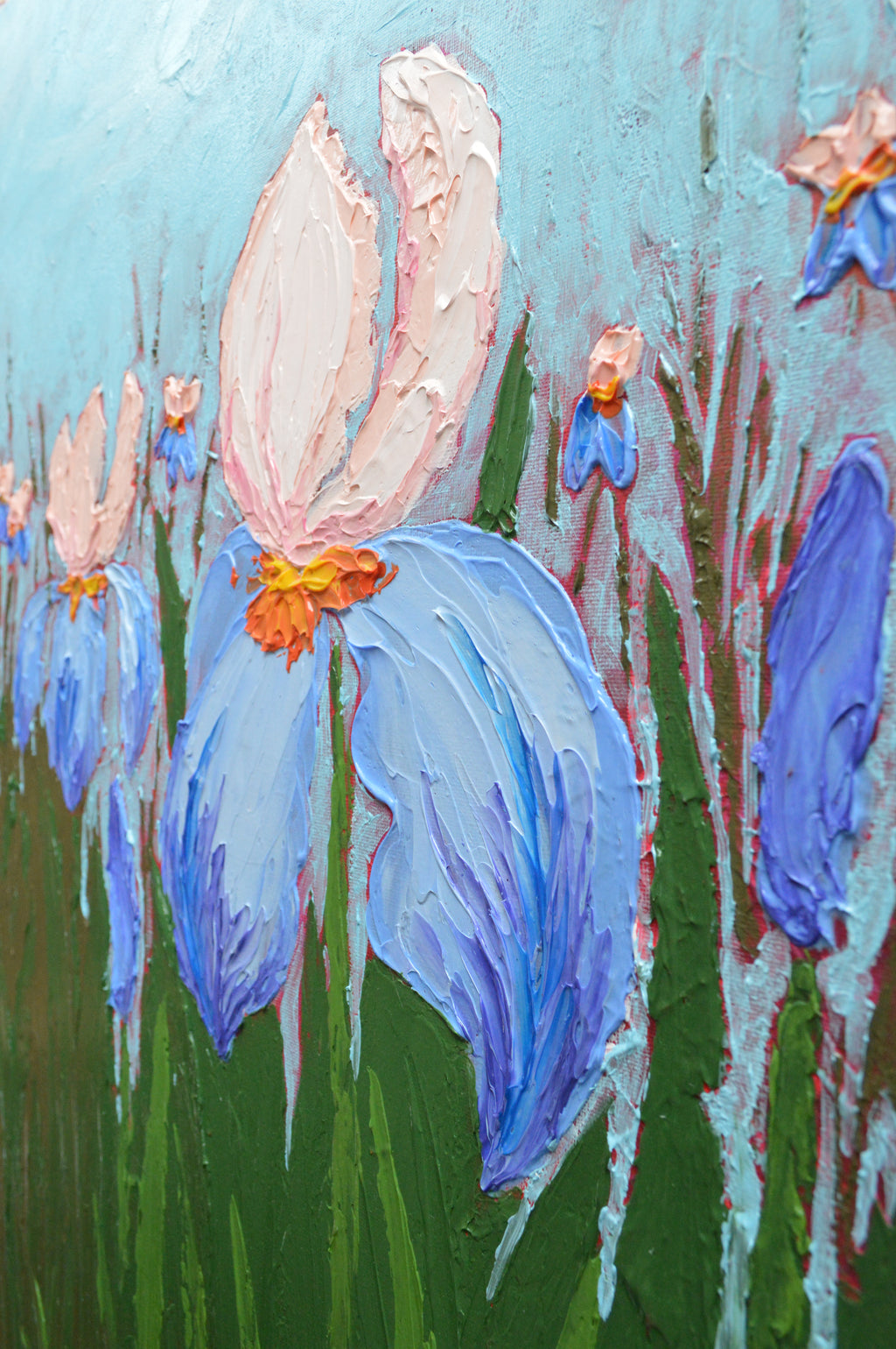 Irises #1