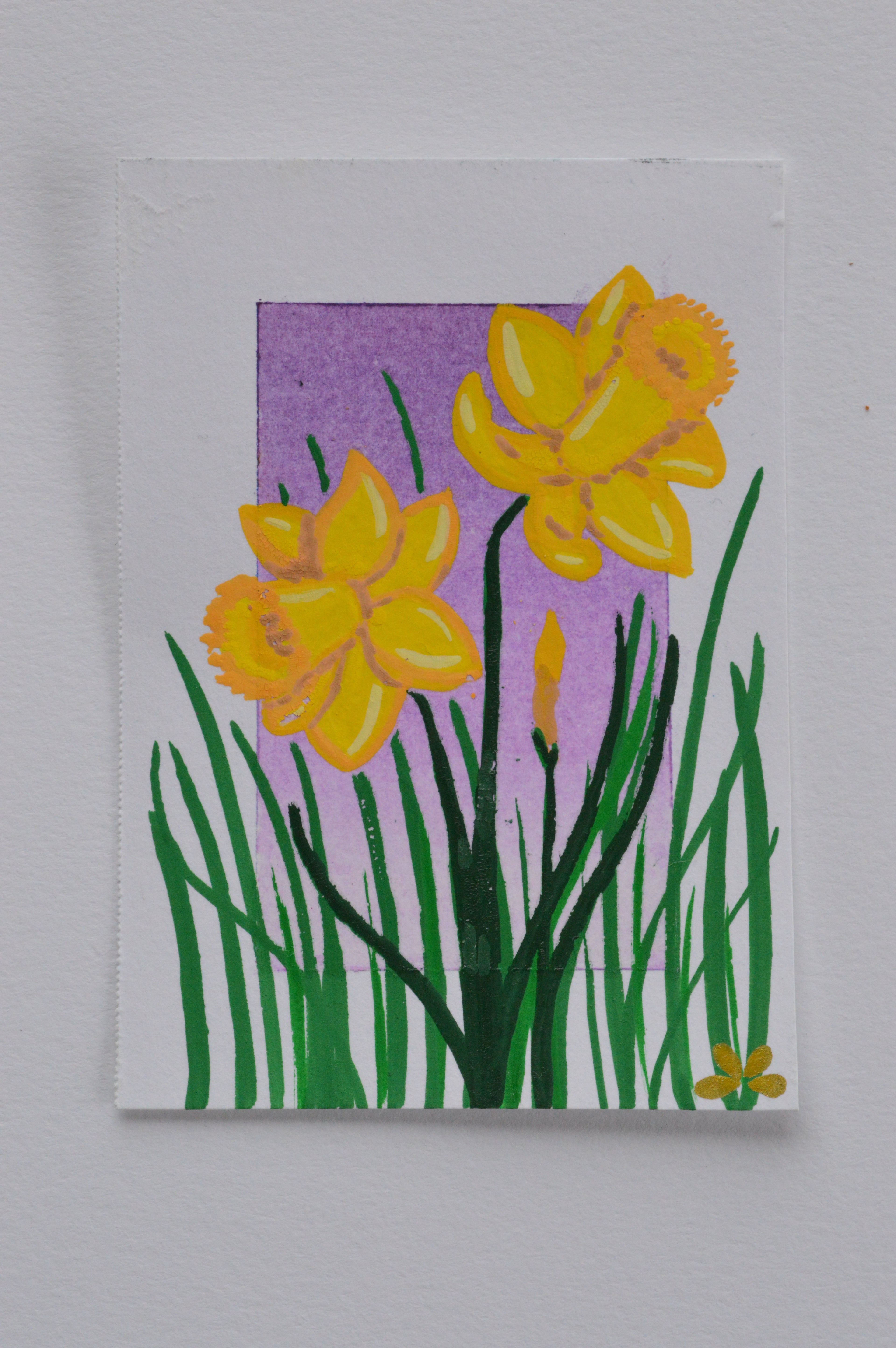 Daffodils