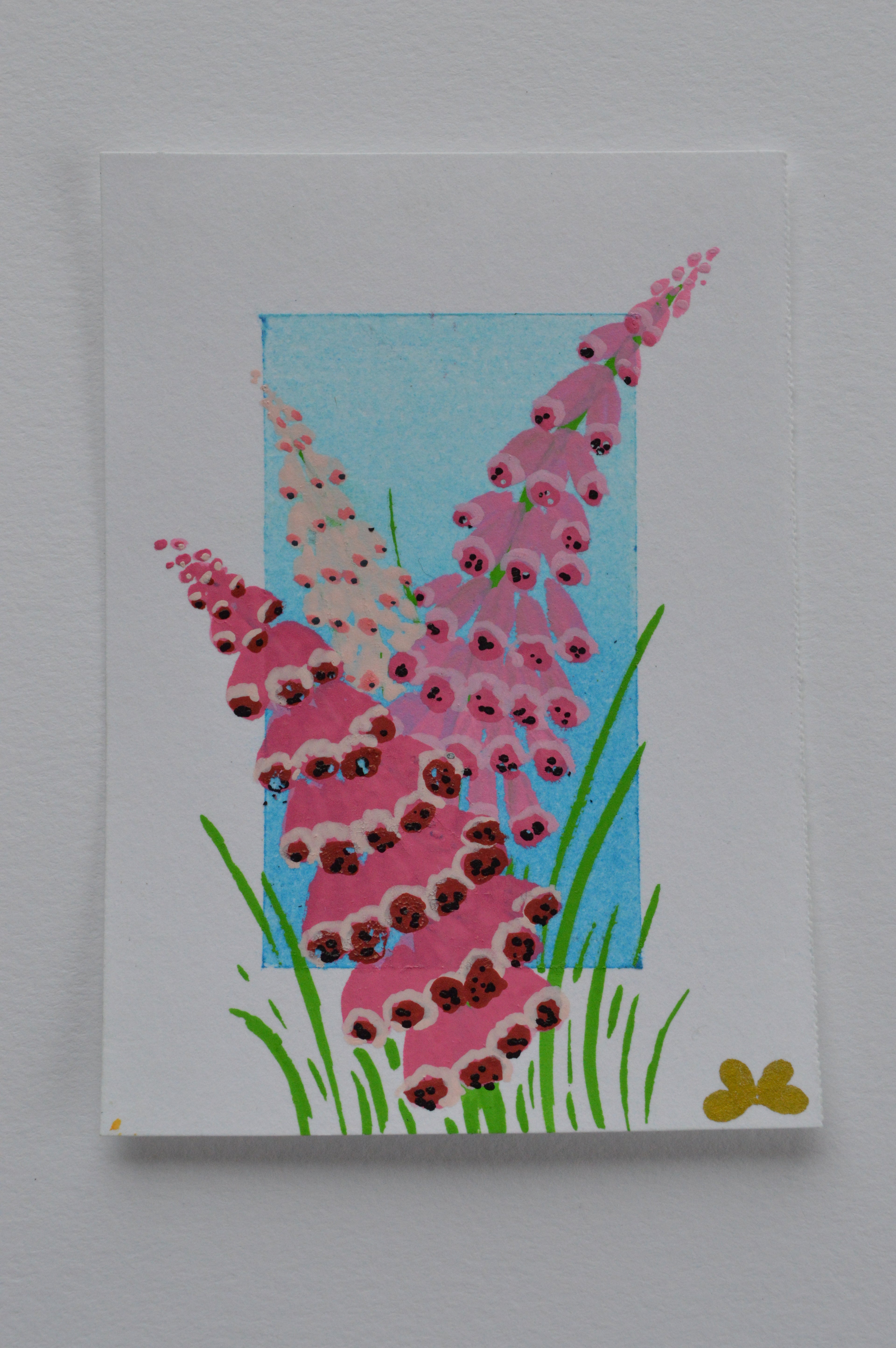 Foxglove