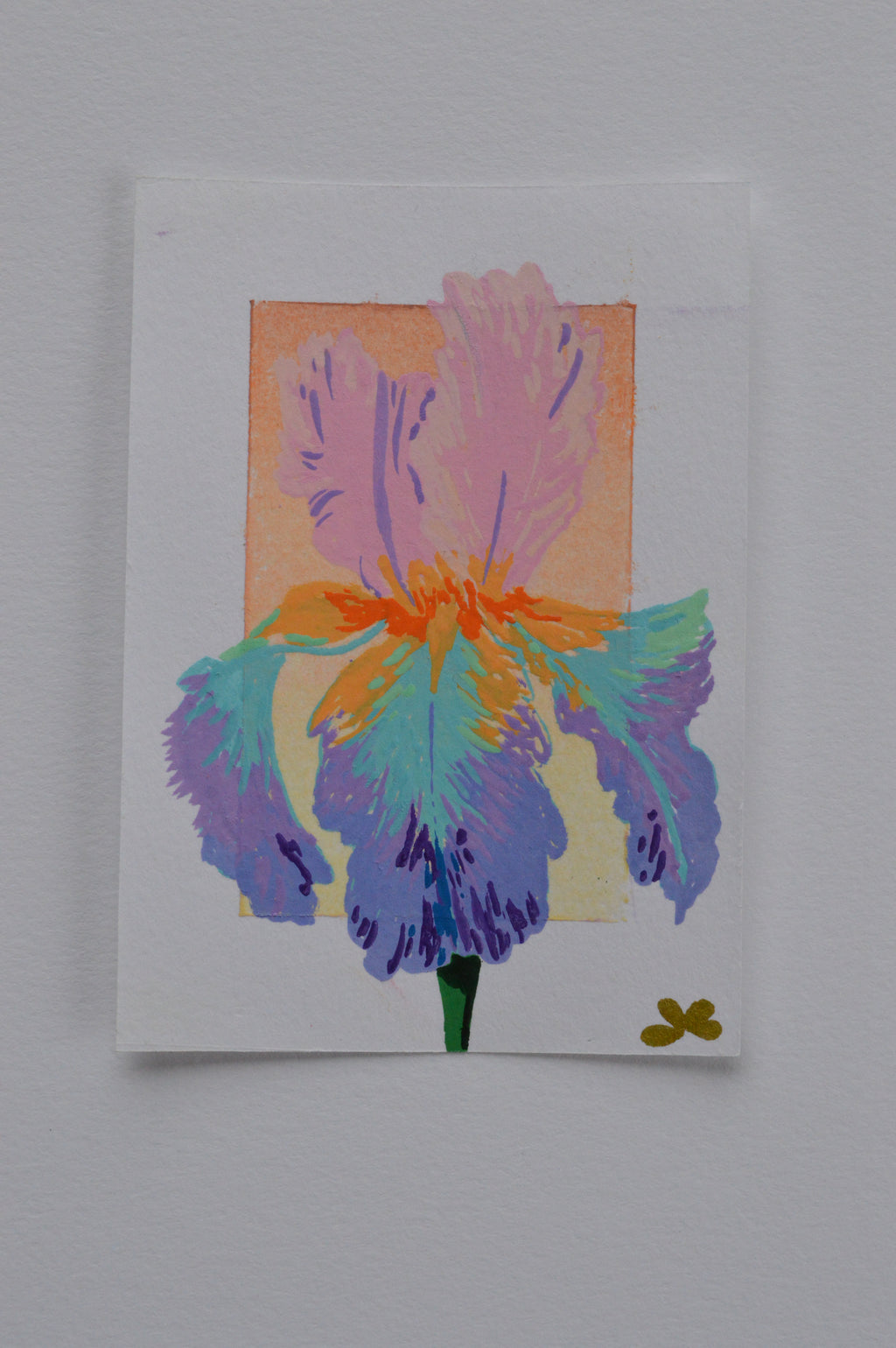 Iris