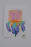 Iris