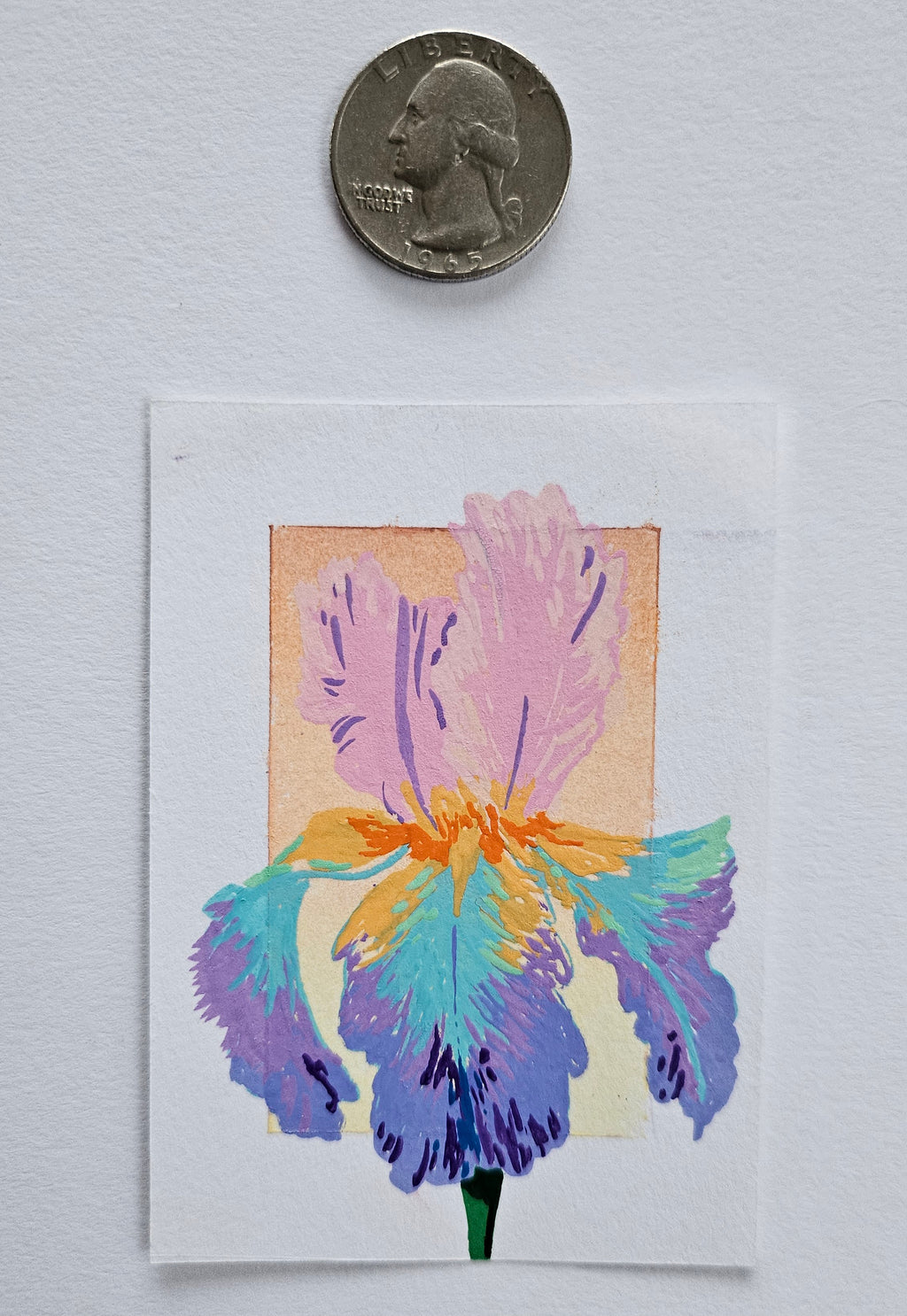 Iris