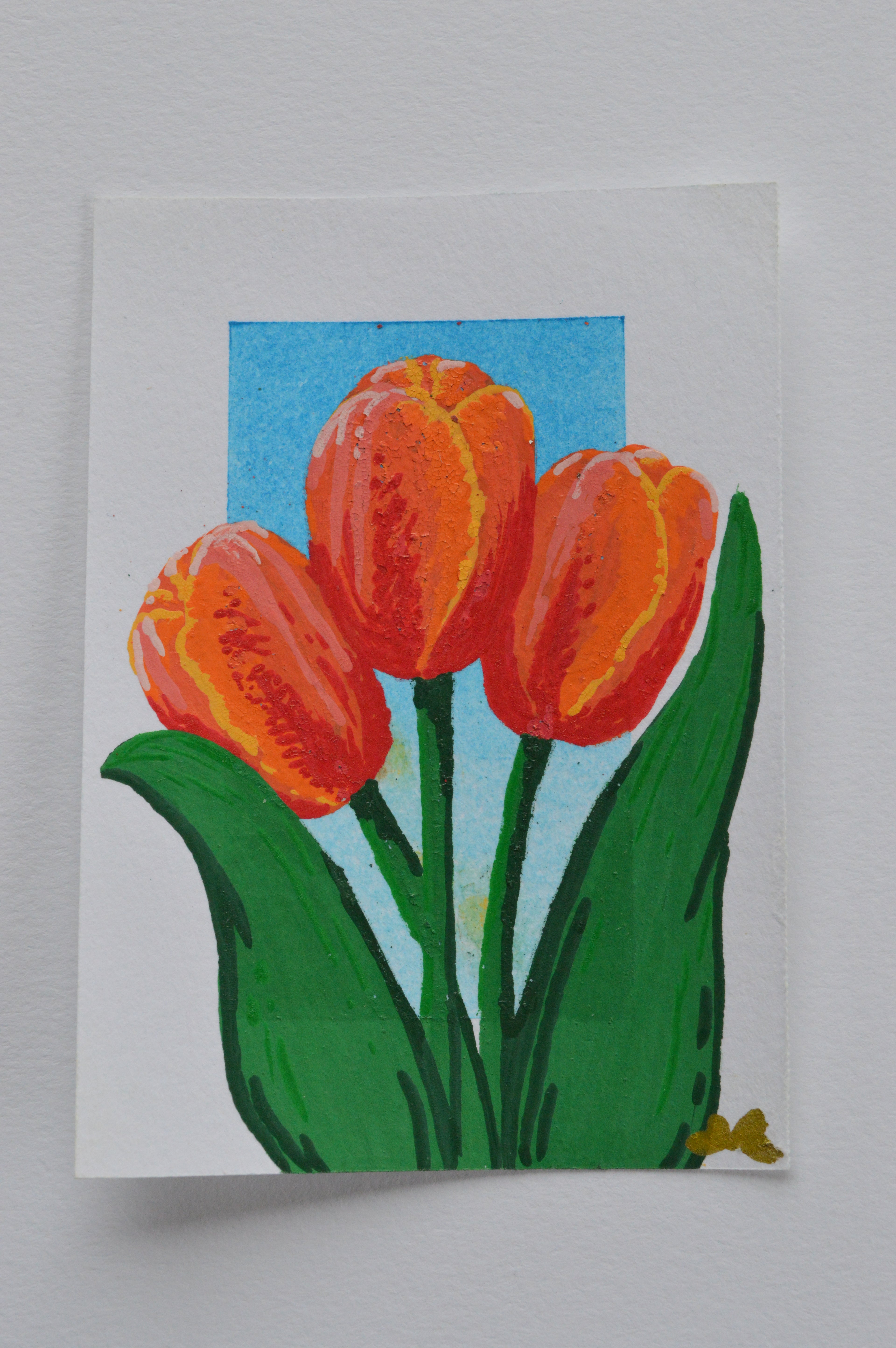 Tulips