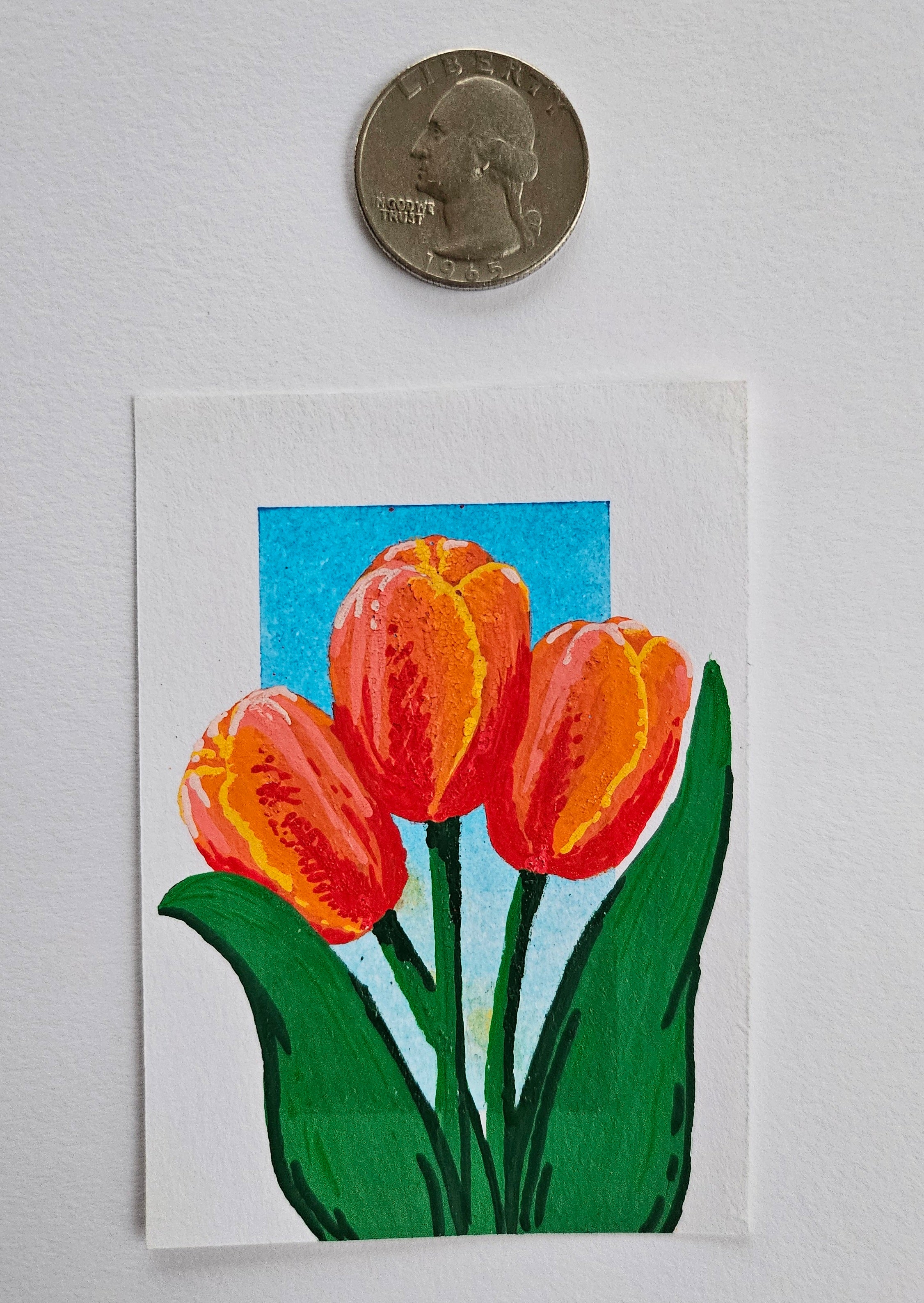 Tulips