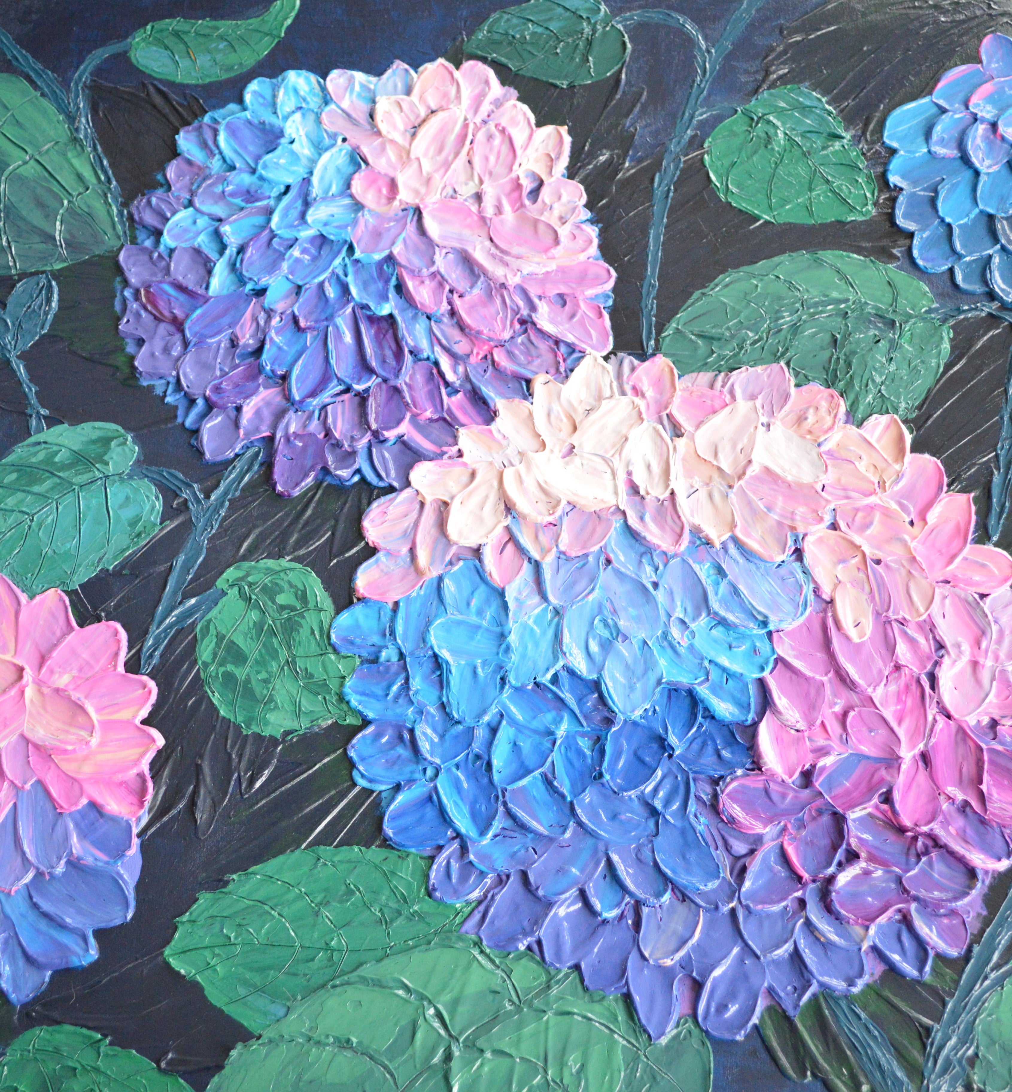 Colorful hydrangea flowers with green leaves on a dark background